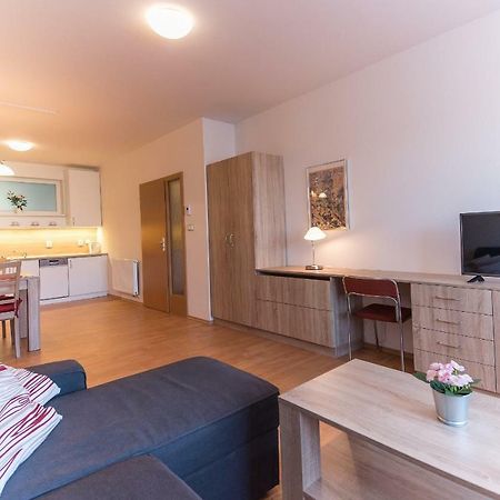 Apartman U Lazni D23 トレボン エクステリア 写真
